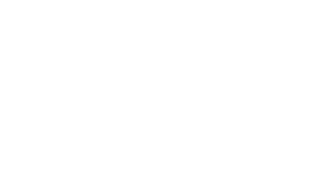 Geidea-2