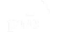 PwC-Logo 1